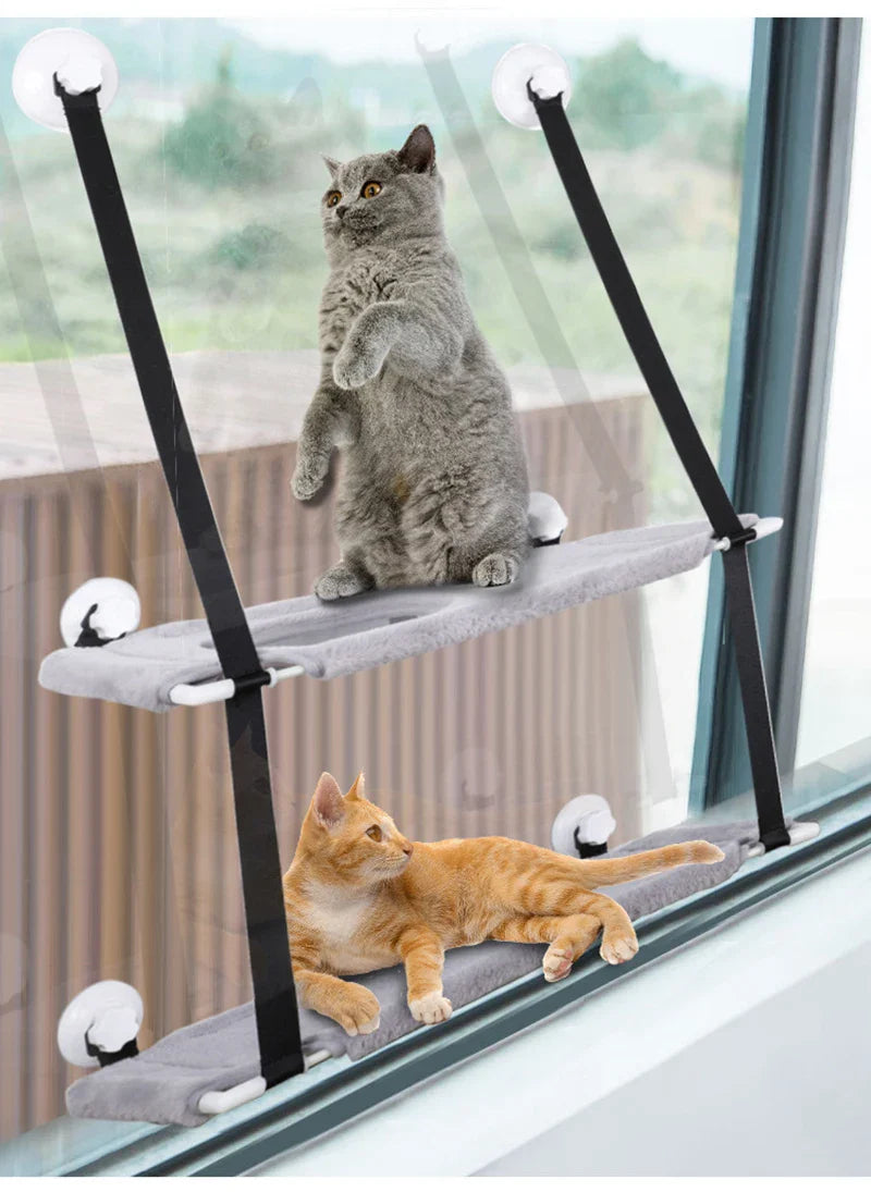 Two cats hanging out in their cat loungers