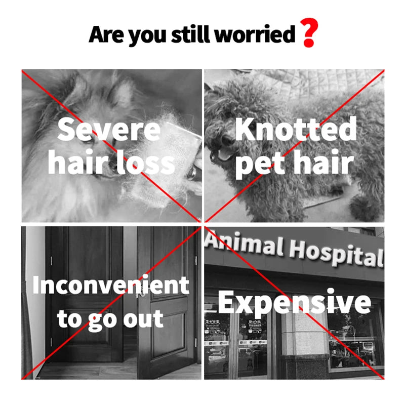 Collage of issues with pet care, including hair loss, knotted hair, difficulty going out, and high costs, with a question asking if you are still worried.