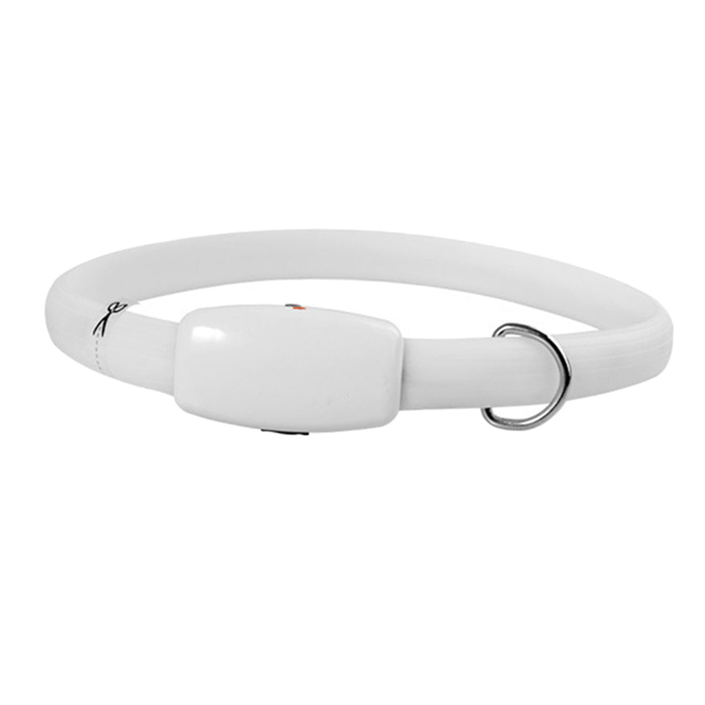 White dog collar with a metal buckle on a white background