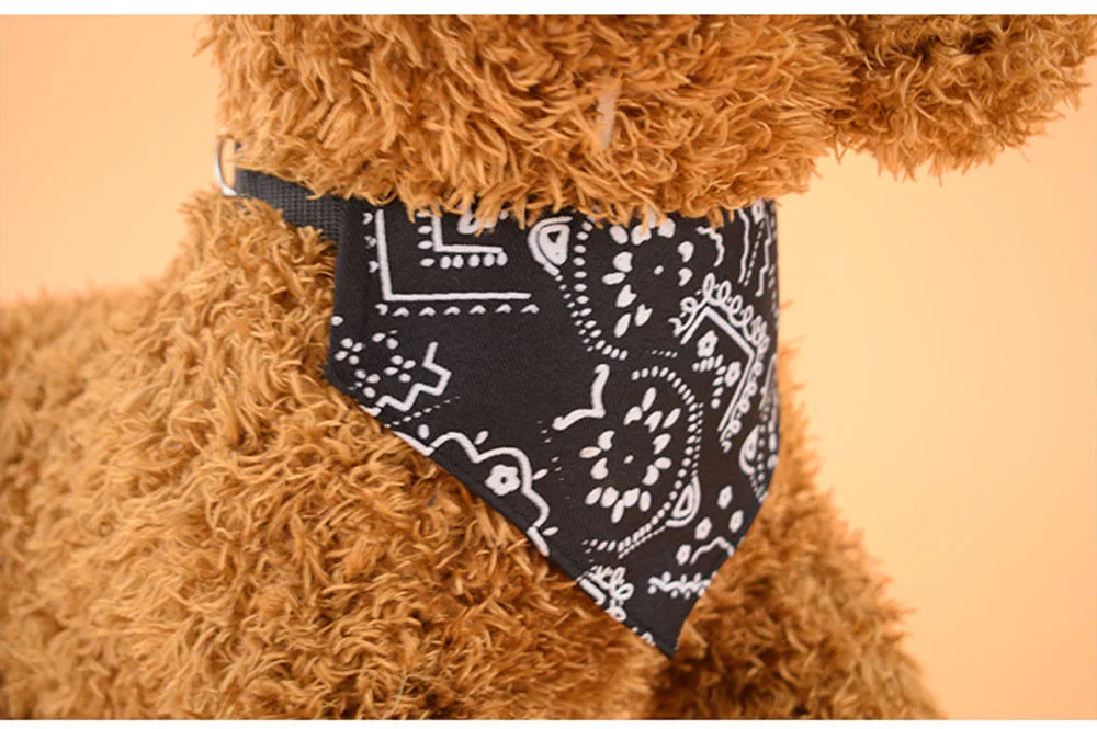 Brown teddy bear wearing a black bandana with white patterns on a beige background