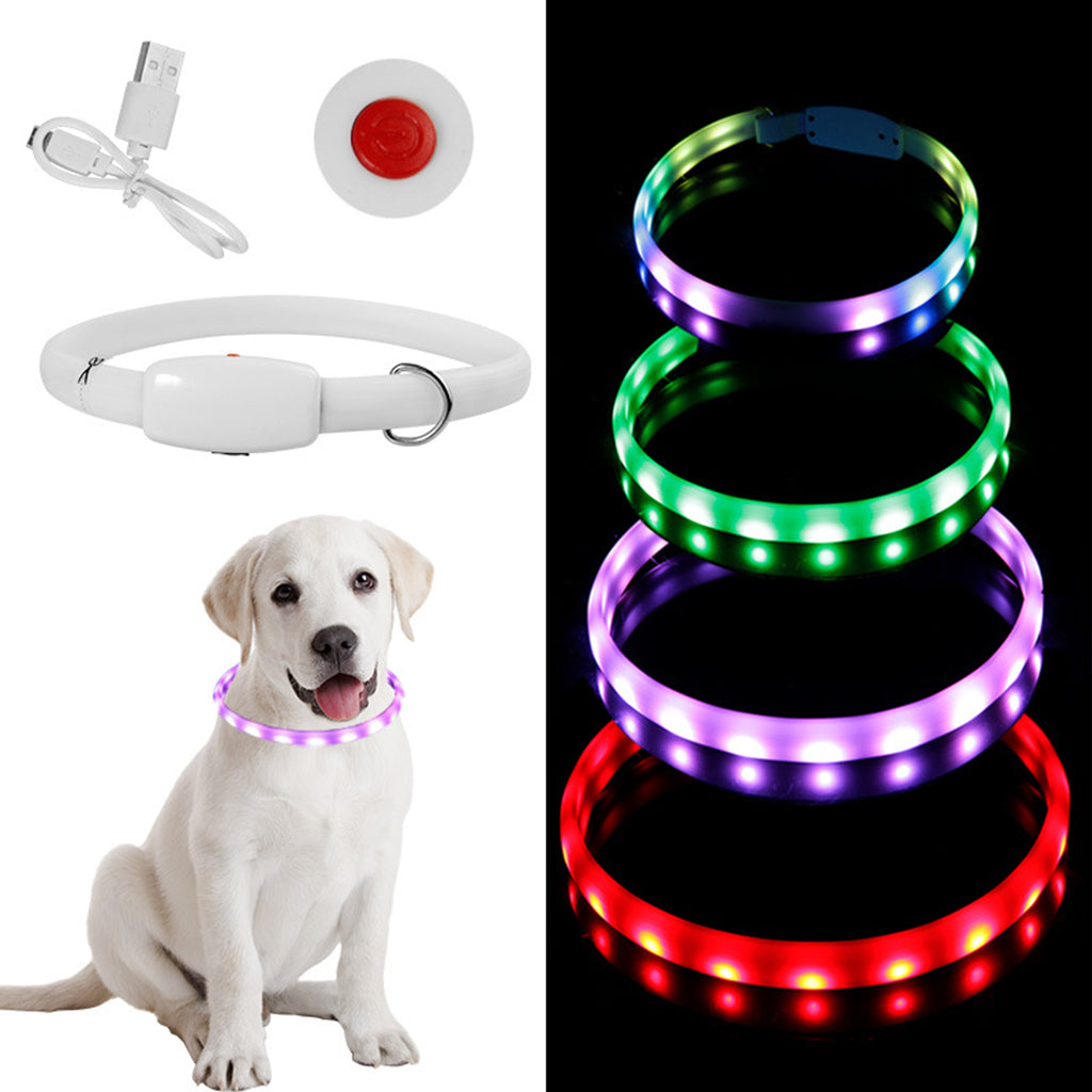 Dog wearing a LED collar, USB charger, and remote control on a white background.