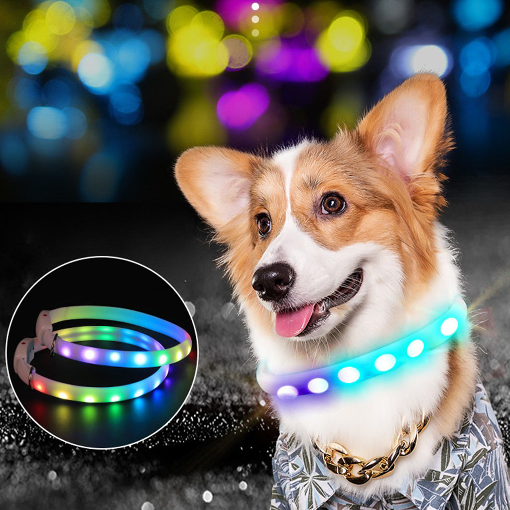 Dog wearing a LED collar with a close-up inset, set against a blurred colorful light background.