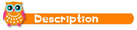 Orange banner with a colorful owl graphic and the word 'Description' on a white background