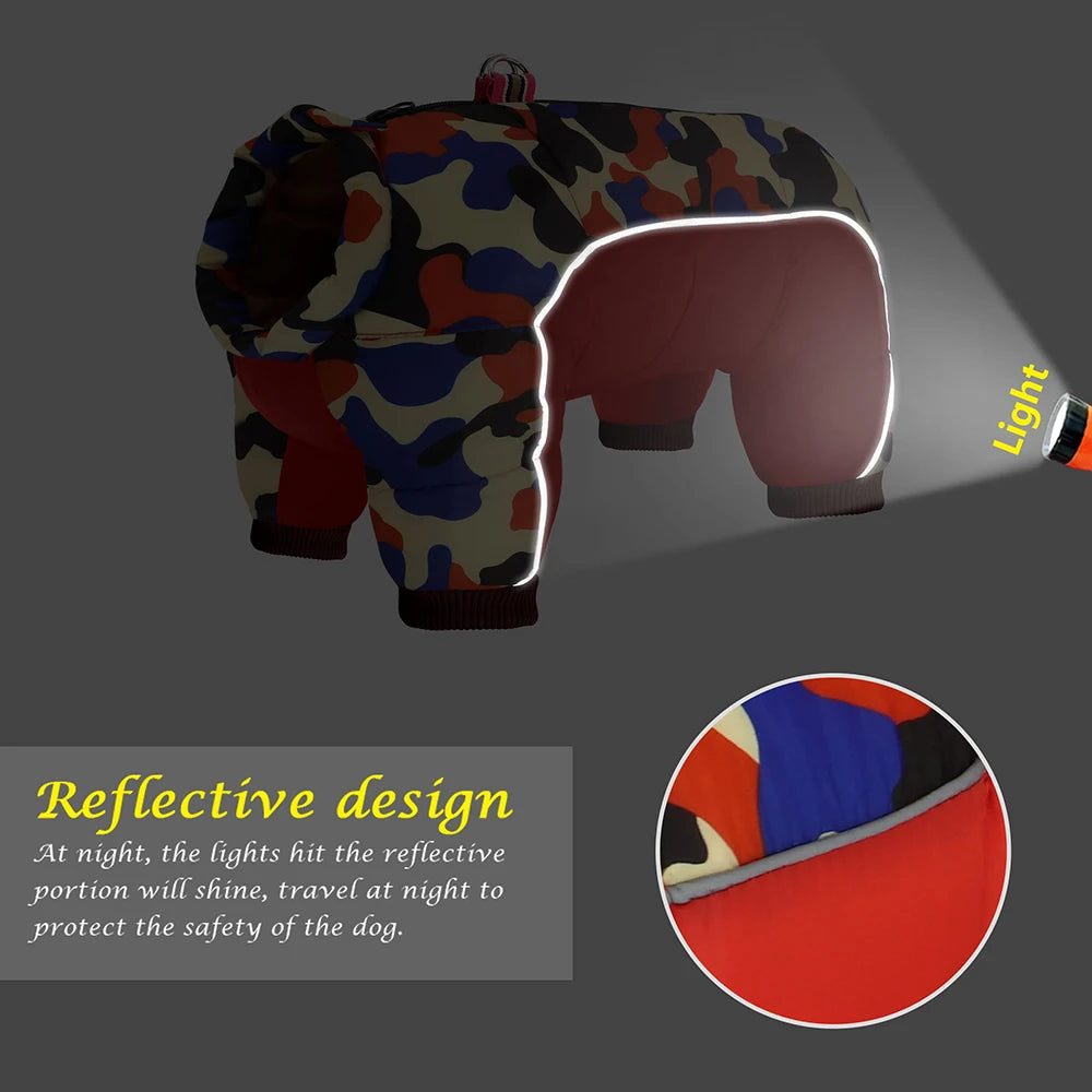 Colorful dog harness with reflective design and light feature on a dark background