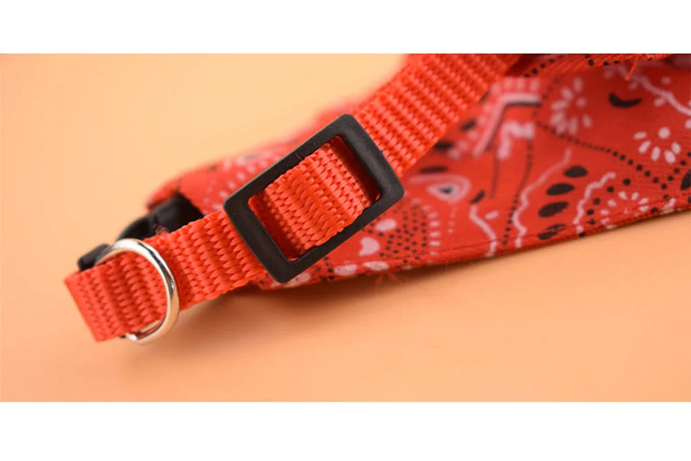 Red dog collar with black buckle on a beige background