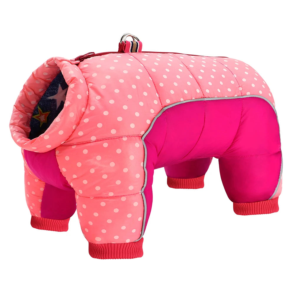 Pink and red polka dot dog coat on a white background