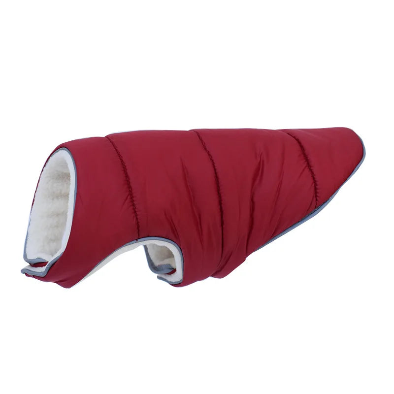 Red dog coat with white interior on a white background