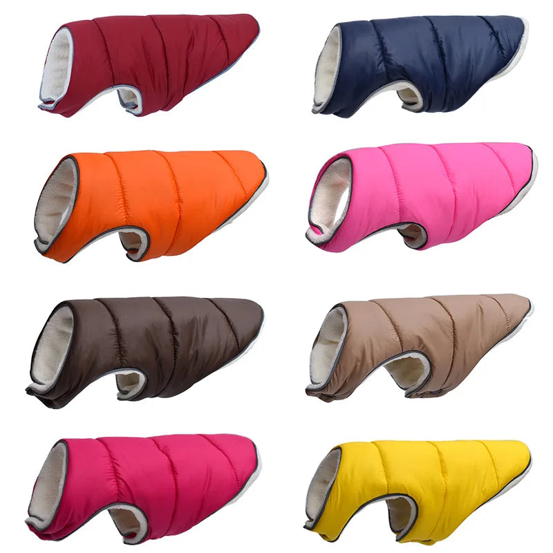 Collection of colorful dog coats in various colors on a white background