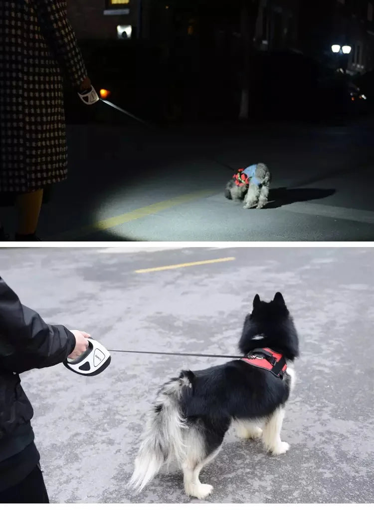 Dog on a leash being walked at night and during the day.