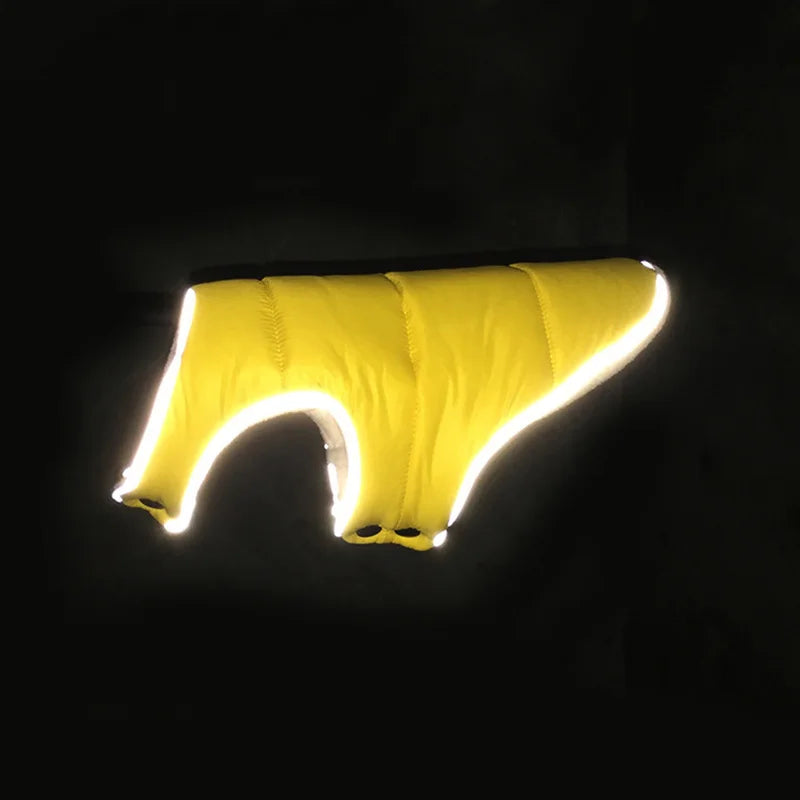 Yellow dog coat with reflective stripes on a black background