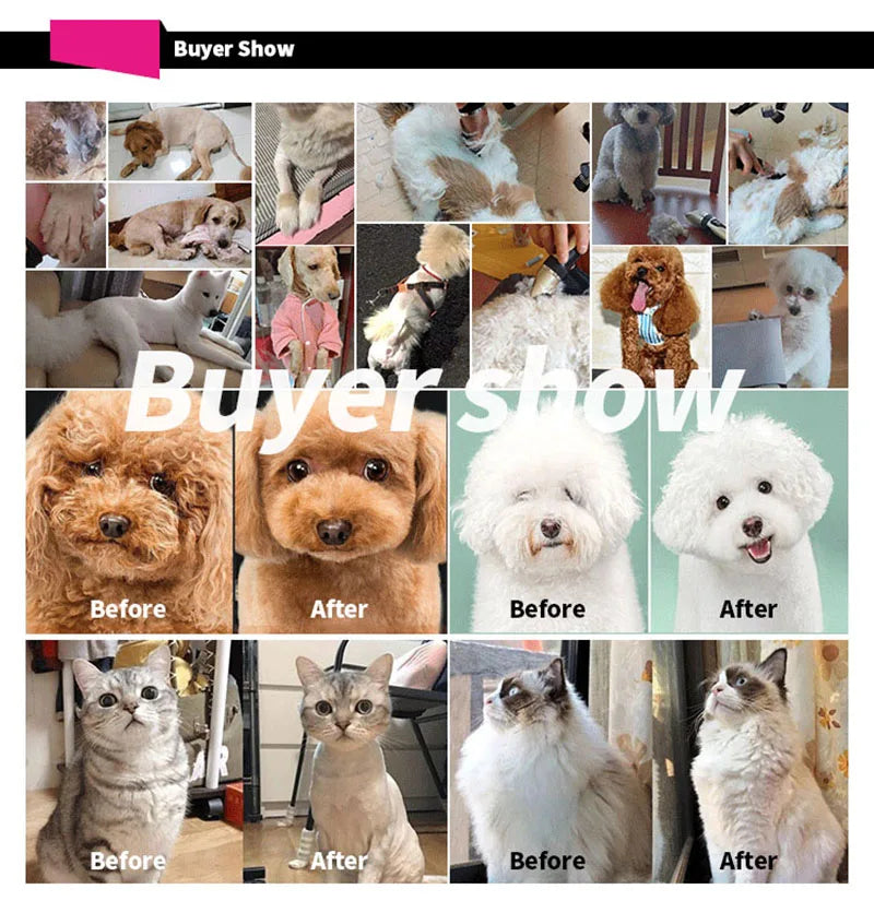 Collage of 'Before' and 'After' pet grooming images with text 'Buyer Show'.