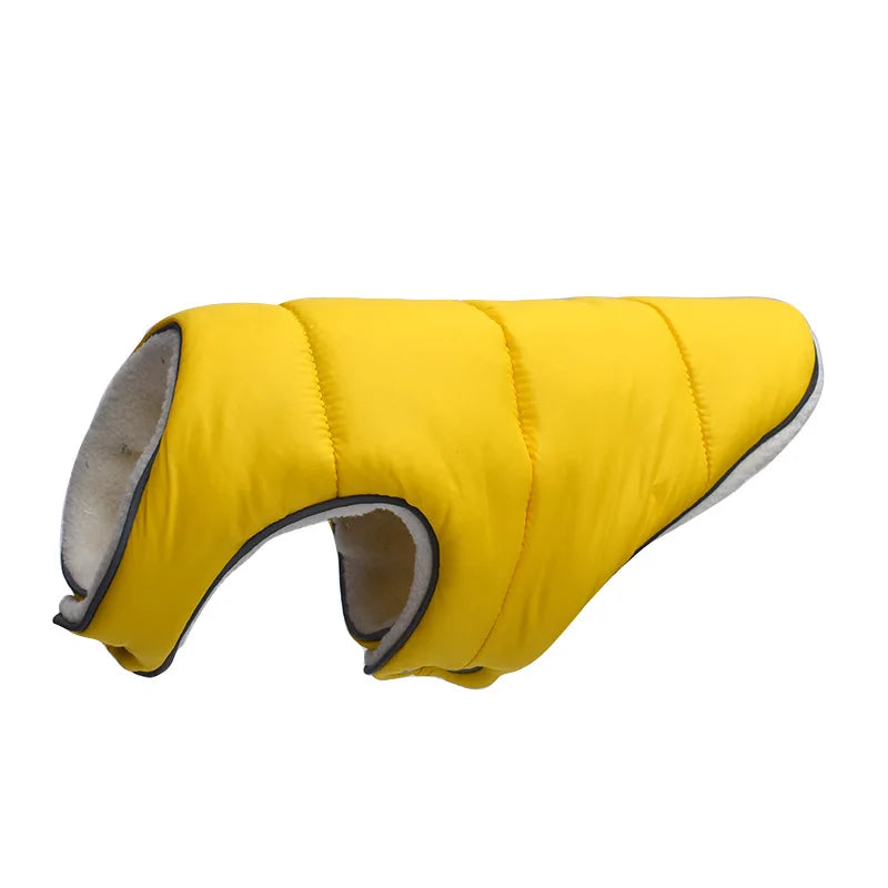 Yellow dog coat with gray interior on a white background