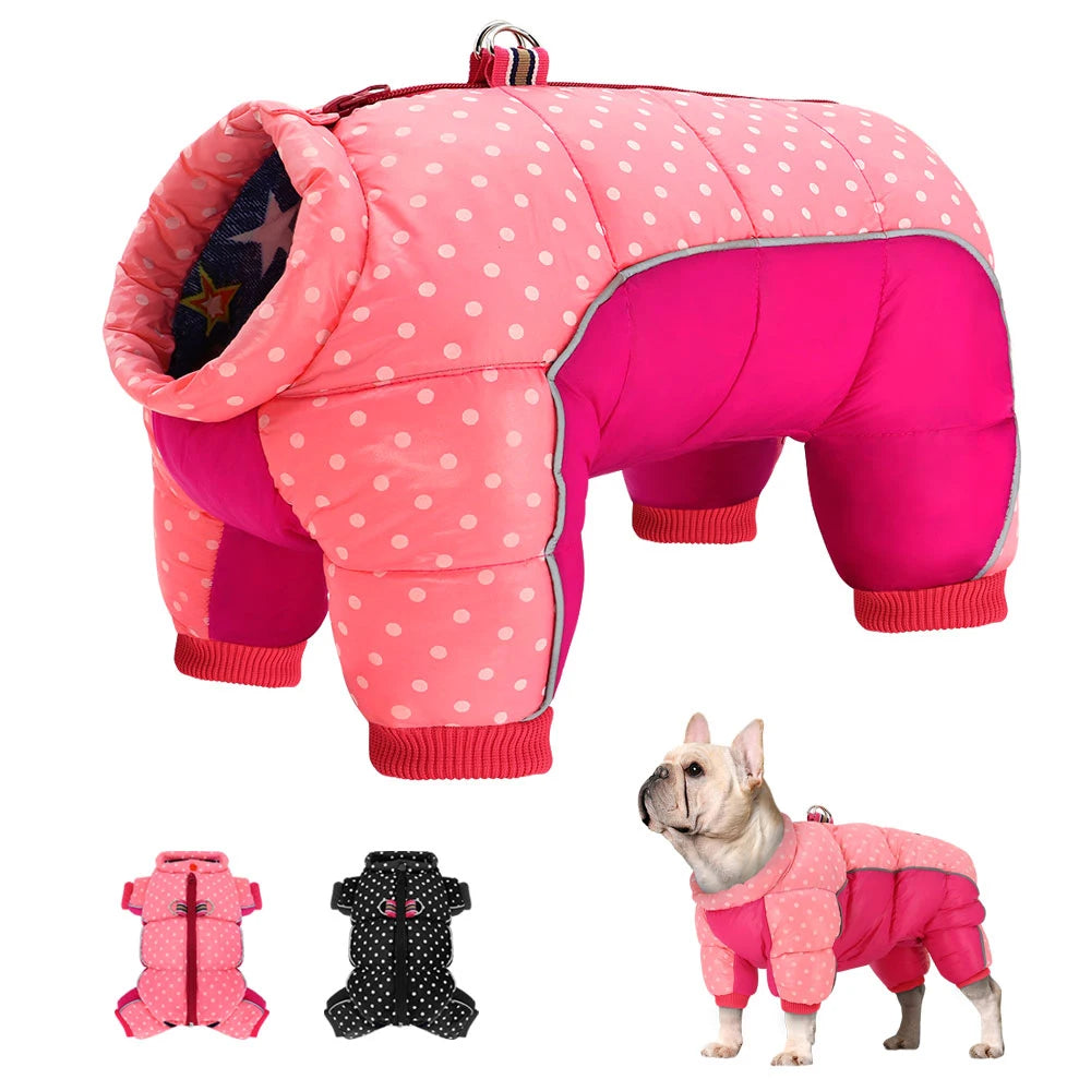 Pink polka dot dog coat with a small dog wearing it, on a white background.