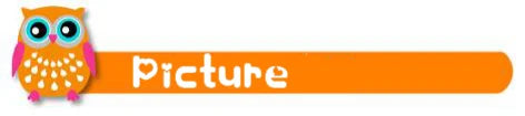 Colorful owl icon on an orange banner with the word 'Picture' below it.