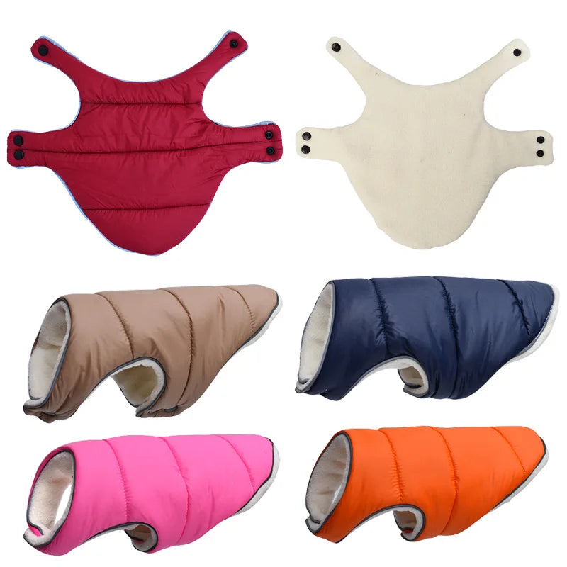 Collection of colorful dog coats on a white background