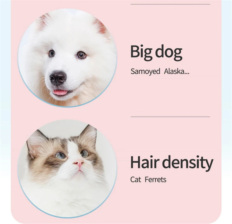 Comparison chart showing a Samoyed dog and a cat with text about hair density on a pink background.
