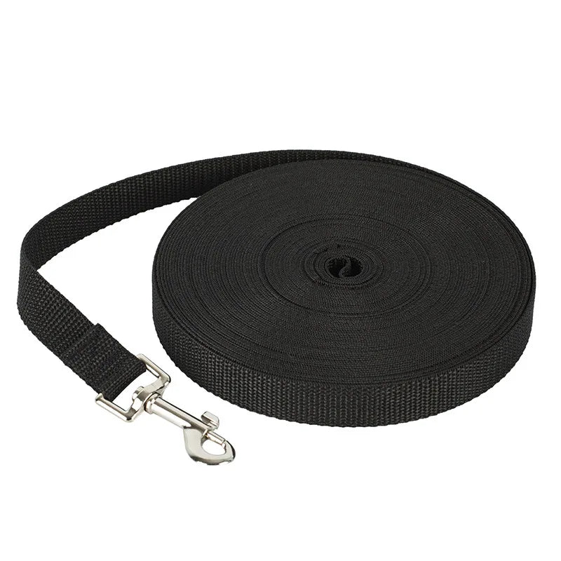 Black dog leash with a metal clip on a white background
