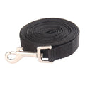 Black dog leash with a silver clip on a white background