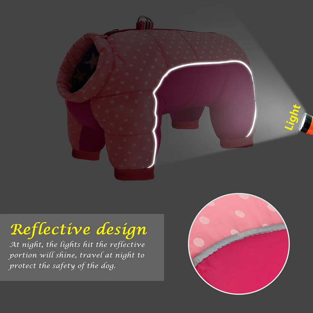 Dog coat with reflective design and flashlight highlighting feature on a dark background
