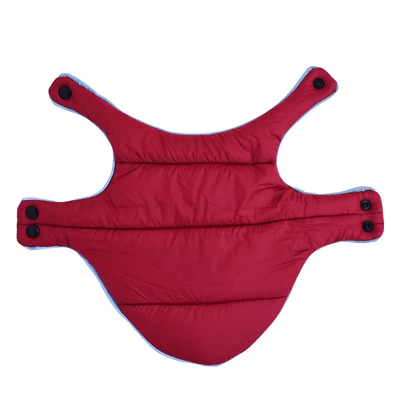 Red dog coat with black buttons on a white background