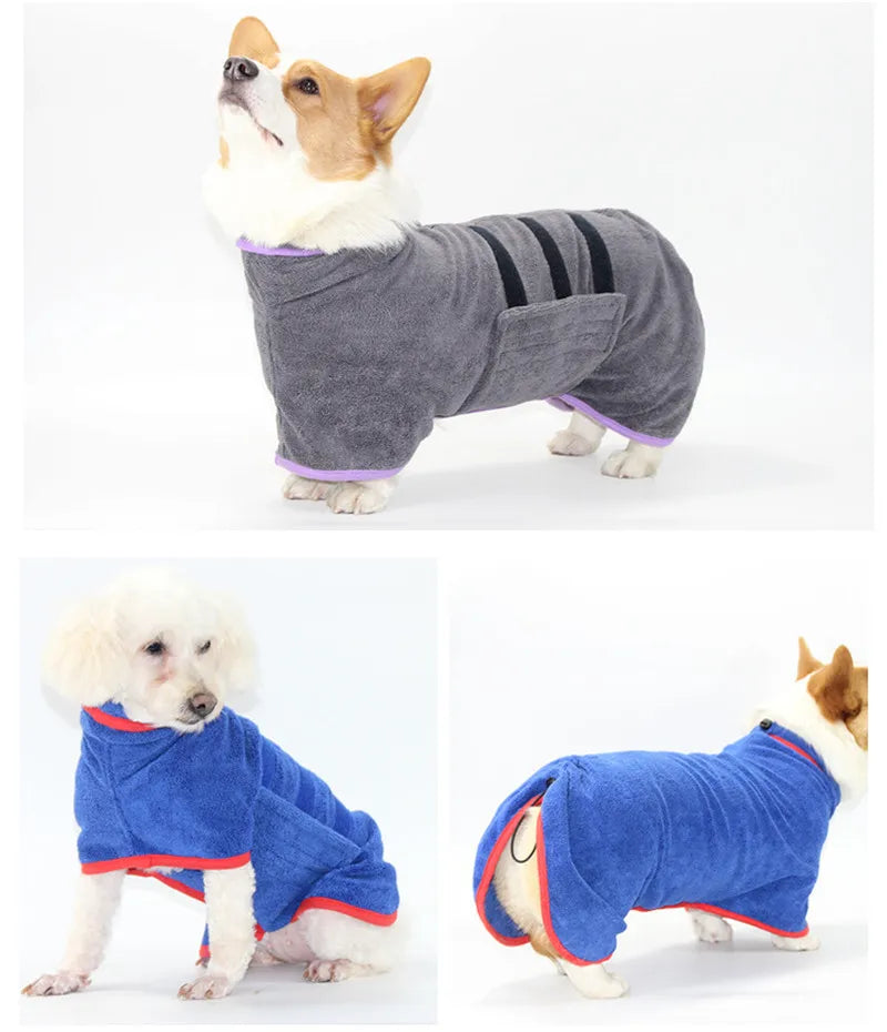 Three dogs wearing different colored pet coats on a white background