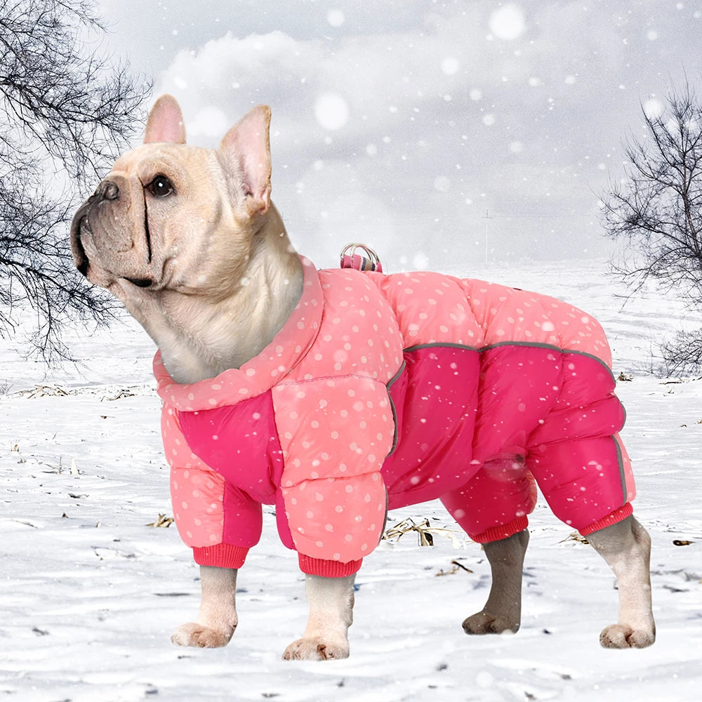 Dog wearing a pink snowsuit standing in the snow