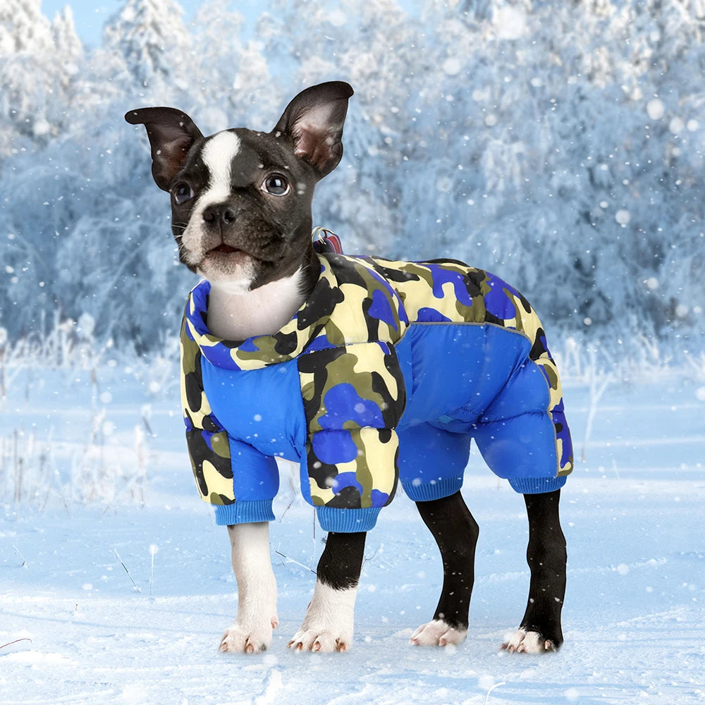 Dog wearing a camouflage and blue winter coat standing in the snow.