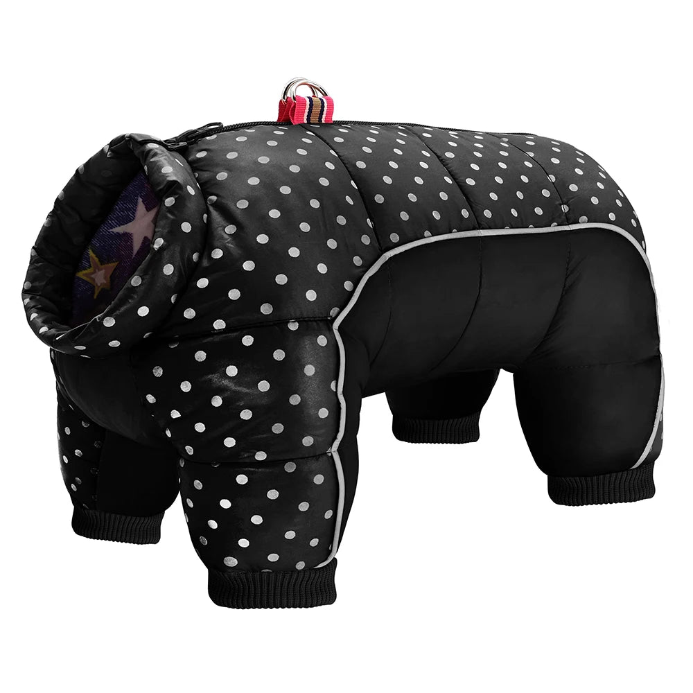 Black and white polka dot dog coat on  a white background