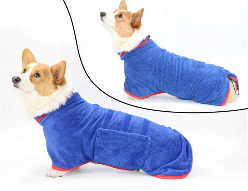 Dog wearing a blue fleece coat on a white background