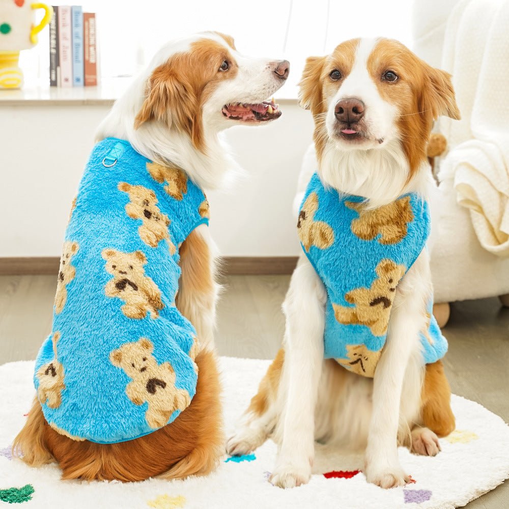 Two dogs wearing blue sweaters with teddy bear patterns sitting on a couch.