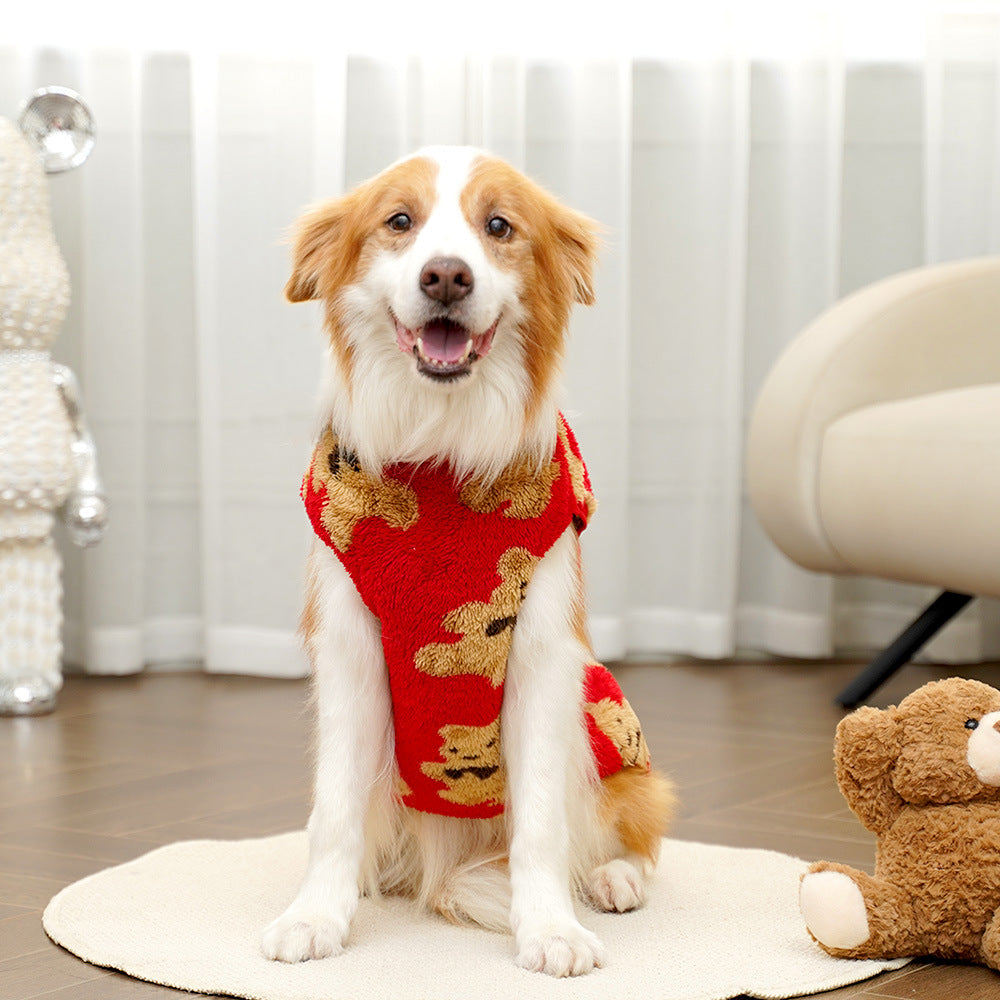 Dog wearing a red outfit with gold patterns sitting on a rug indoors.