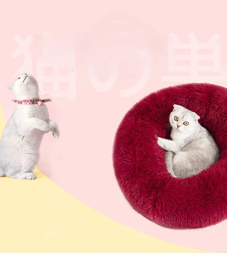 Cat lying on a fluffy red pet bed with a pink background