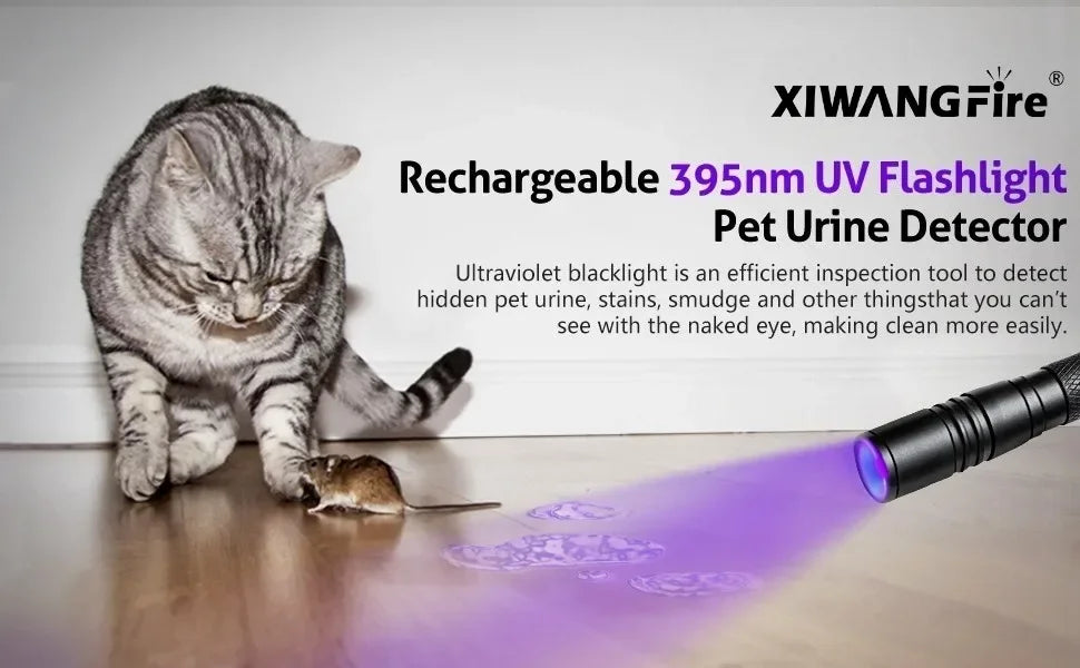 Cat using a rechargeable 395nm UV flashlight to detect pet urine on a floor.