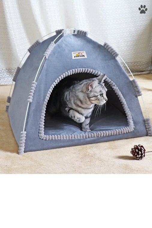 Cat inside a gray pet tent  on a light background