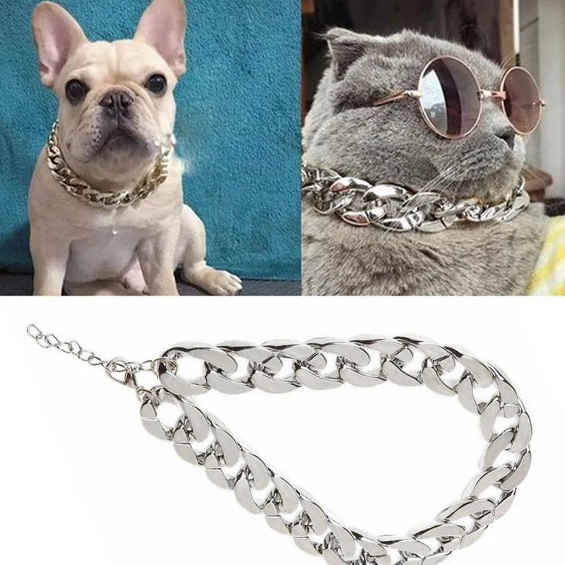 a dog wearing a gold collar a cat wearing a platinum chain collar with a close-up of the chain below.