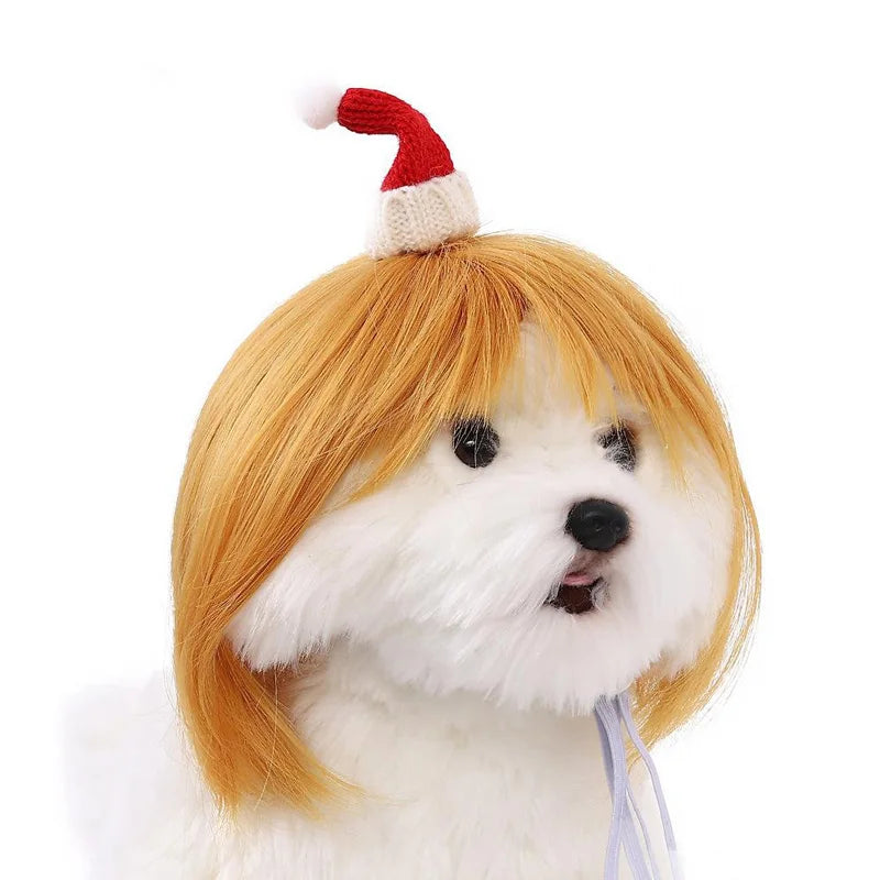 Small dog with a red wig and red and white hat on a white background