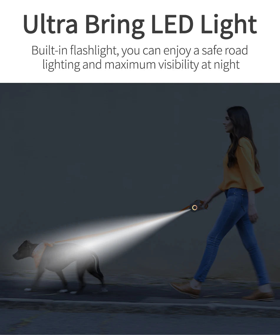 Person walking a dog with an LED light on a dark background