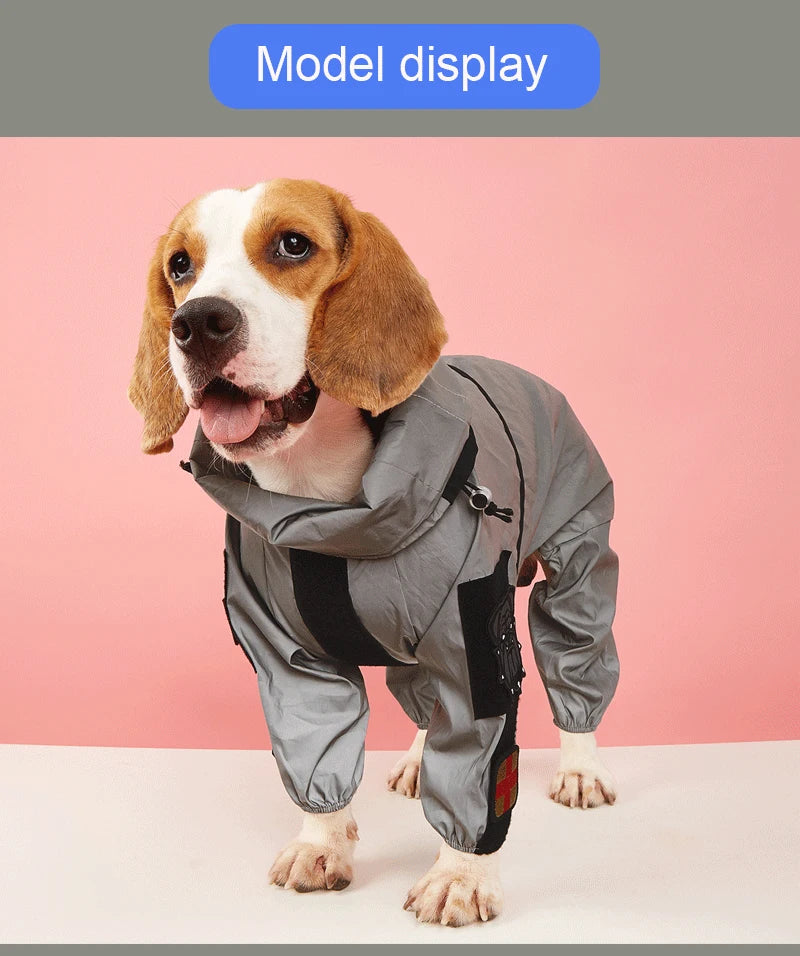 Dog wearing a gray raincoat on a pink background with 'Model display' text.