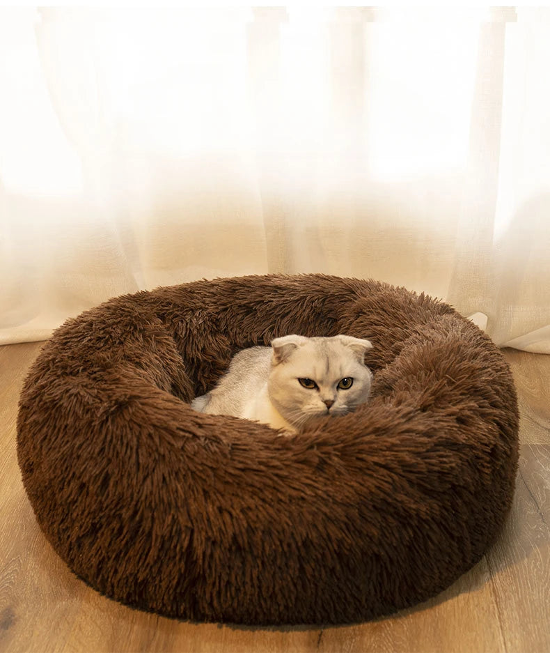 Cat lying on a fluffy brown pet bed with a white background