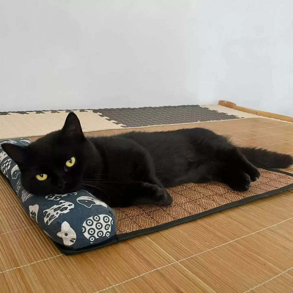 Black cat lying on a mat with a white background