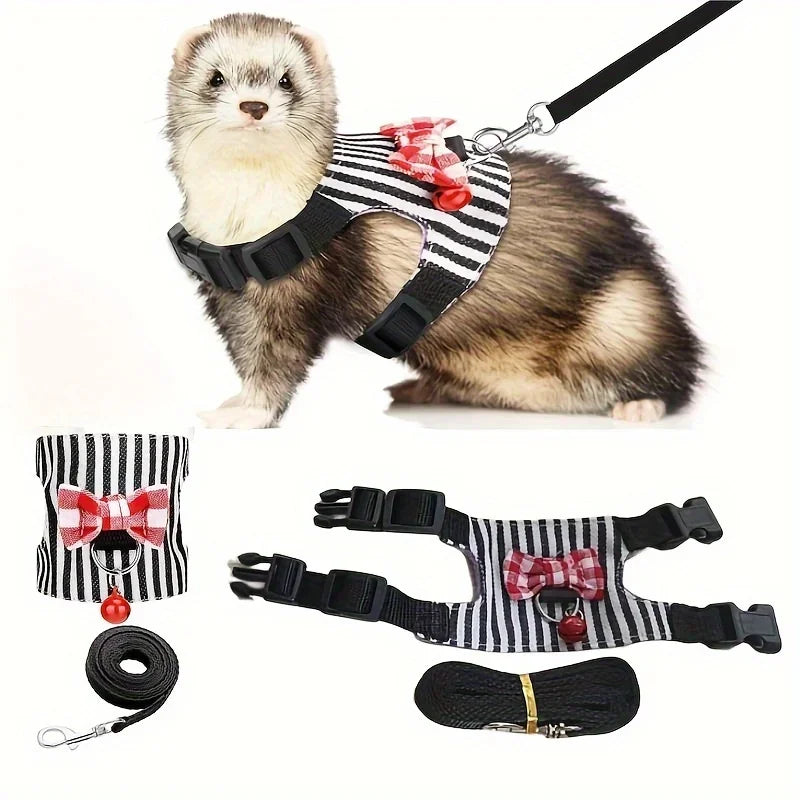 Ferret wearing a striped harness with a bow, accompanied by the harness and leash set on a white background.