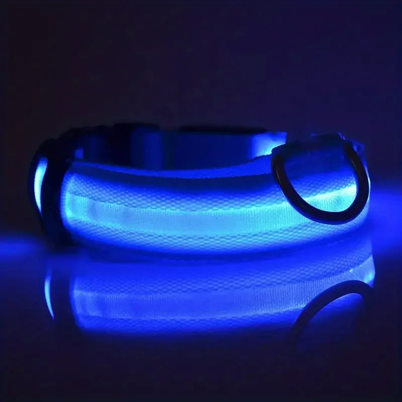Blue LED dog collar glowing in the dark