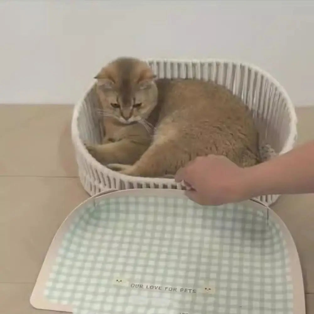 Cat lying in a white basket with a checkered mat on the floor.