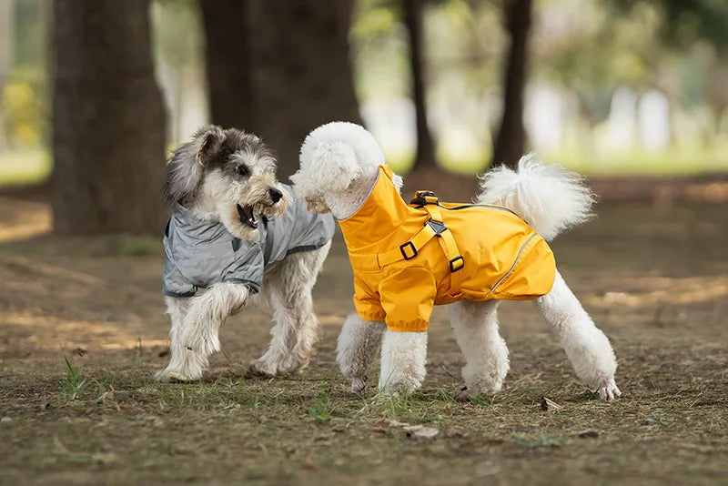 Two dogs wearing raincoats playing in a park.