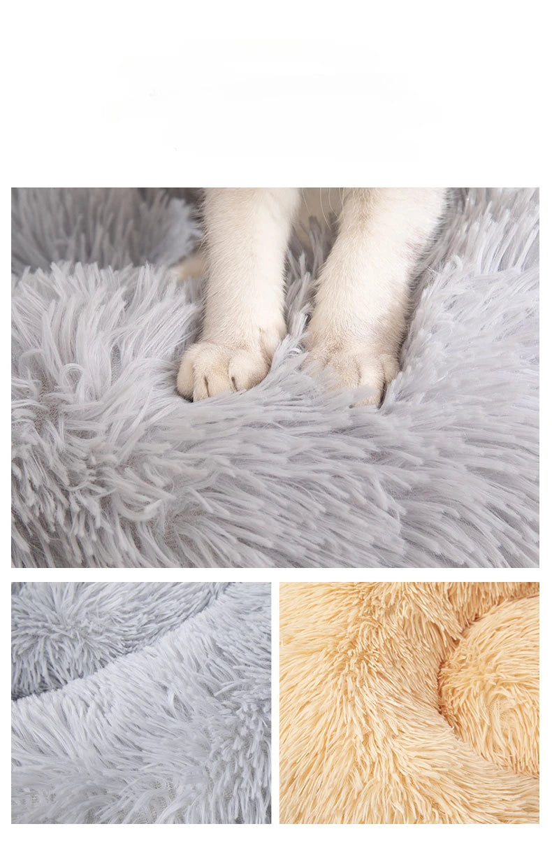 Close-up of a fluffy gray rug with a dog's paw on it, followed by a close-up of the texture of the rug.