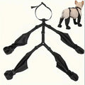 Black dog training device with a small dog wearing it on a white background