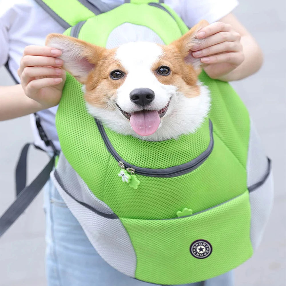 Dog in a green backpack with a person holding it, on a light gray background