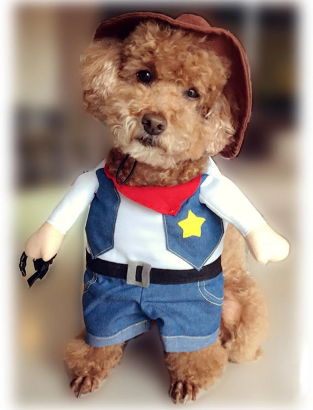 Dog wearing a cowboy costume with a hat, vest, and bandana.