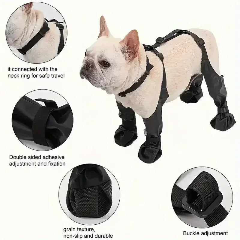 Dog wearing black protective booties with feature highlights on a white background