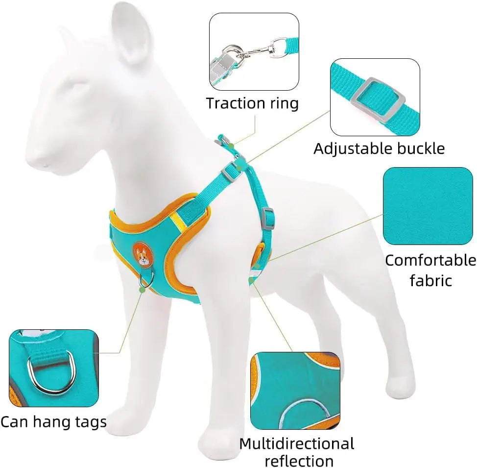 Teal dog harness with features highlighted on a white background